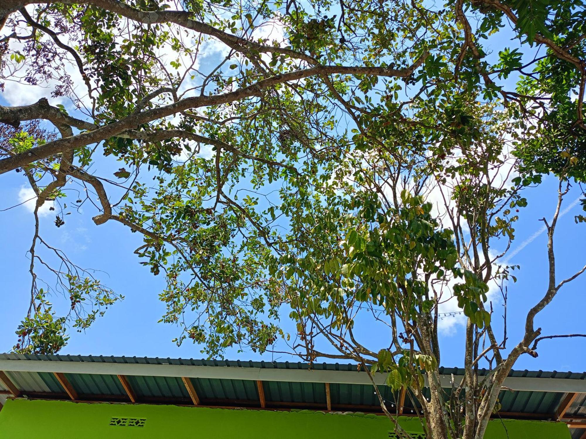 One Mek Studio Bachok Exterior photo